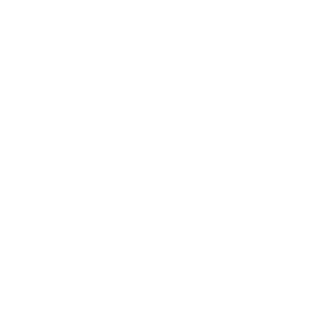 HyUnion Holding